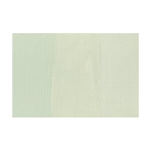 Charvin Professional Artist Quality Oil Paints, Natural Color Themed Hues, Green Gray Medium 150 ml - color: Green Gray Medium