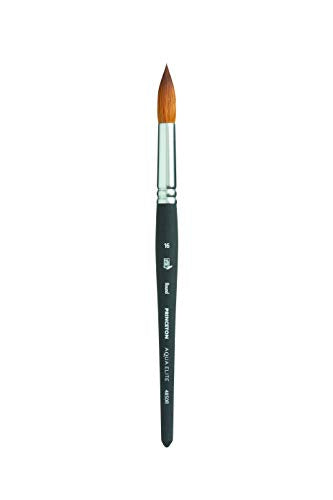Princeton Aqua Elite, Series 4850, Synthetic Kolinsky Watercolor Paint Brush,Round, Size 16 - size: Size 16