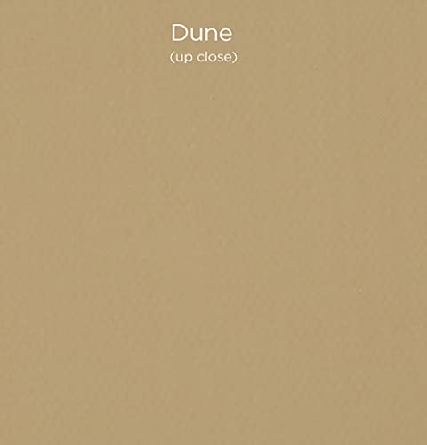 Paramount Pro-Tones All-Media Toned Canvas Panels 3-Pack - Triple-Primed 100% Cotton Canvas, Non-Reflective Colors - Dune 8x10 - color: Dune, size: 8x10"