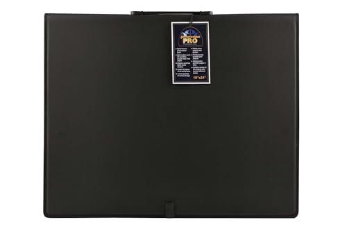 Picturesque Pro Presentation Case- Professional Art Portfolio Folder for Artwork up to 24x36- Vegan Leather Zippered Case, Archival Storage Solution w/Removable Spiral-Bound Book of 20 Clear Sleeves - size: 24x36 in w/Refill