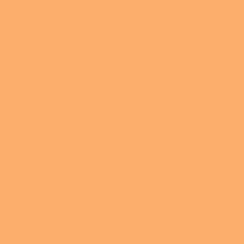 Winsor & Newton Promarker Brush, Apricot - color: Apricot
