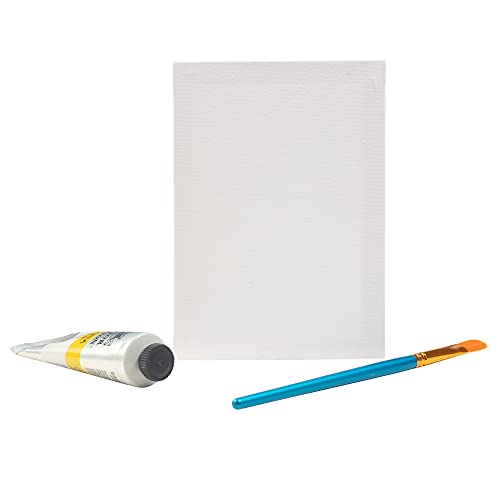 iDIY Stretched Canvas Board 8 x 10 (Set of 12) 5/8" - Classic White Blank, Pre Primed for Oils or Acrylics, 100% Cotton, Acid Free - Professional Grade for Painting or Art Project, Craft, Mixed Media - size: 8 x 10 inches (set of 12)