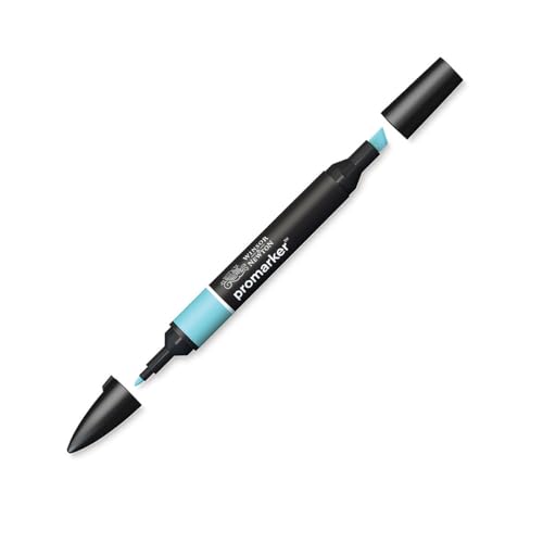 Winsor & Newton ProMarker, Duck Egg - color: Duck Egg, size: 1 Count (Pack of 1)
