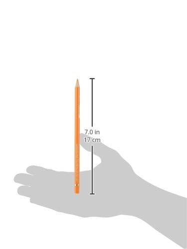Faber-Castell Polychromos Artists' Single Pencil - Colour 113 Orange Glaze - color: Orange Glaze