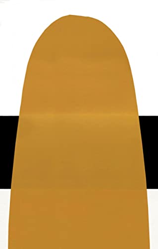 GOLDEN Fluid Acrylics, Iridescent Bright Gold (Fine), 1 fl. oz. Bottle, Professional Acrylic Paint, Semi-Transparent
