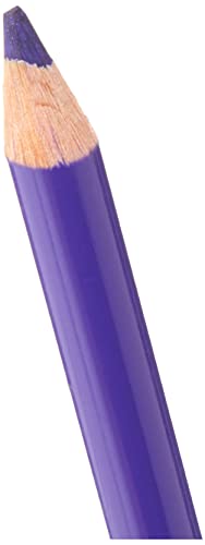 Faber-Castell Polychromos Artists' Single Pencil - Colour 137 Blue Violet - color: Blue Violet