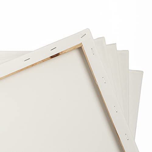 ™ 2-PC Cotton Stretched 18” x 24” Double Primed Gesso Wooden Frame to Smooth Surface & Reduce Absorbency, for Acrylic, Oil Paints, Acid-Free, Medium Weight Blank, White. 18 x 24 Canvas. - size: 18" x 24"
