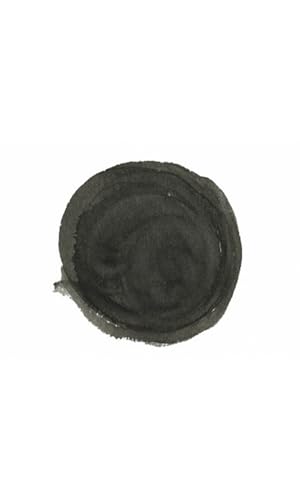 Higgins Black India Pigmented Drawing Ink - for Artists and Students - 1 oz. Glass Bottle (HIG44201) - color: Black India