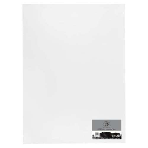 New York Central Watercolor Paper - 22x30-1 Pack of 10 Sheets - 300 lb. Cold Press - 100% Cotton, Acid-Free, Archival Quality, Bright White Watercolor Paper Pad for Wet & Dry Media - size: 22x30" - 10 Sheets