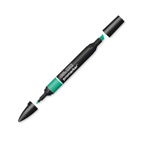 Winsor & Newton ProMarker, Green - color: Green, size: 1 Count (Pack of 1)