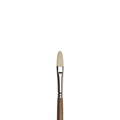 Winsor & Newton Artists' Oil Synthetic Brush, Filbert #8 - style: Filbert #8