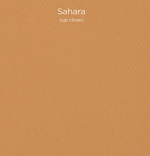 Paramount Pro-Tones All-Media Toned Canvas Panels 3-Pack - Triple-Primed 100% Cotton Canvas, Non-Reflective Colors - Sahara 8x10 - color: Sahara, size: 8x10"