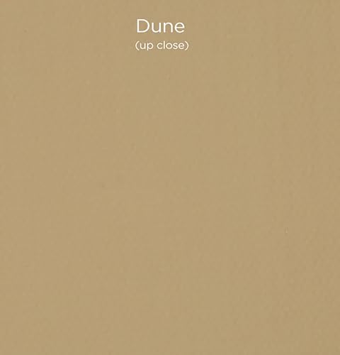 Paramount Pro-Tones All-Media Toned Canvas Panels 3-Pack - Triple-Primed 100% Cotton Canvas, Non-Reflective Colors - Dune 6x8 - color: Dune, size: 6x8"