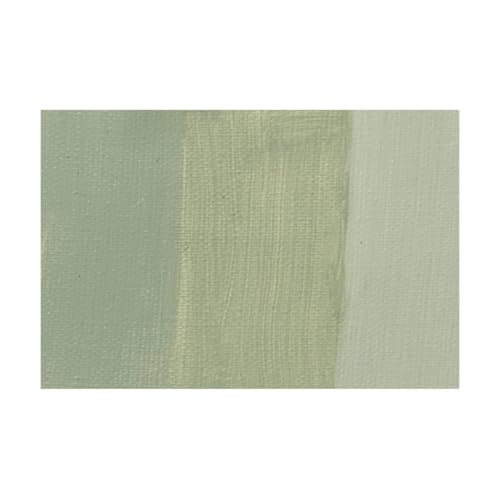 Charvin Extra Fine Oil Paint 150 mL Tube Ash Green – Professional Artist Oil Color, Archival Quality, Smooth Finish, Nature-Inspired Tone - color: Ash Green