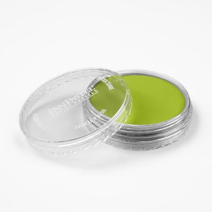 PanPastel Artist Pastels by GOLDEN, Bright Yellow Green, 2.44” / 62mm Pan Diameter, Professional Artist Pastels, Unique Pan Format (cake-like) - color: Bright Yellow Green, size: 1 Count (Pack of 1)
