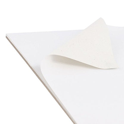 U.S. Art Supply 12" x 16" 10-Sheet 8-Ounce Triple Primed Acid-Free Canvas Paper Pad (Pack of 2 Pads), Canvas Paper for Acrylic Painting