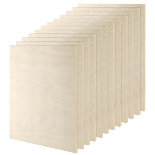 LEXININ 12 Pack 9 x 12 x 1/2 Inch Wood Canvas Panels, Unfinished Wooden Canvas Boards, Cradled Wood Pouring Panels for Painting, Arts Crafts