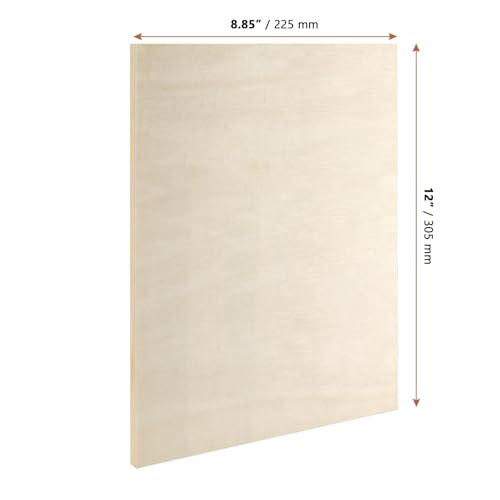 LEXININ 12 Pack 9 x 12 x 1/2 Inch Wood Canvas Panels, Unfinished Wooden Canvas Boards, Cradled Wood Pouring Panels for Painting, Arts Crafts
