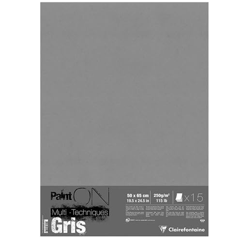 Clairefontaine Paint'ON Grey Paper, 250 g, 50 x 65 cm, 15 Sheets - color: Grey, size: 50 x 65 cm