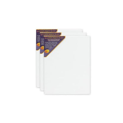 Centurion Deluxe Professional Acrylic Primed Linen Pre-Stretched Canvases, 11oz Linen - 24"x36", Box of 3, 1.5" Deep - Kiln-Dried Stretchers, Back Stapled, Canvas for Painting, Museum Archival Quality - size: 24"x30"