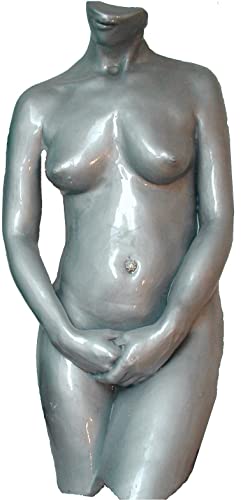 Artmolds Life Molding & Torso Casting Kit - Safe Alginate-Based Mold Powder for 3D Human Body Replicas - Perfect for Pregnancy Belly Casts