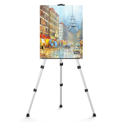 Portable Art Painting Easel Stands - Adjustable Display Artist Tripod Metal Easels with Bags for Table-Top/Floor Painting, Height from 17 to 66 inches, Sturdy for Drawing, Displaying - Silver - style: Silver-2pack