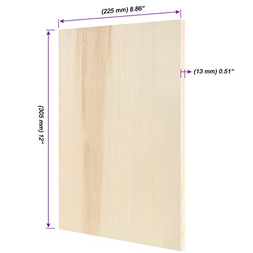 JOIKIT 10 Pack 9 x 12 Inch Wood Canvas Panels, Wooden Canvas Board Unfinished Wood Cradled Painting Panel Boards, Artist Wooden Canvases for Burning, Pouring, String Art, Crafts - size: 9 x 12 inch 10PCS