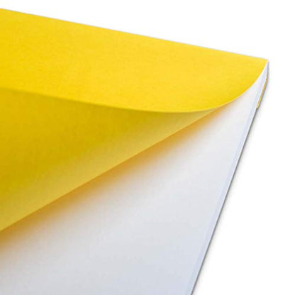Schoellershammer Bristol Paper Pad A3, 50 Sheets, 180gsm White Paper, Black/White VF5004291 - size: A3, style: Bristol Paper (180gsm)