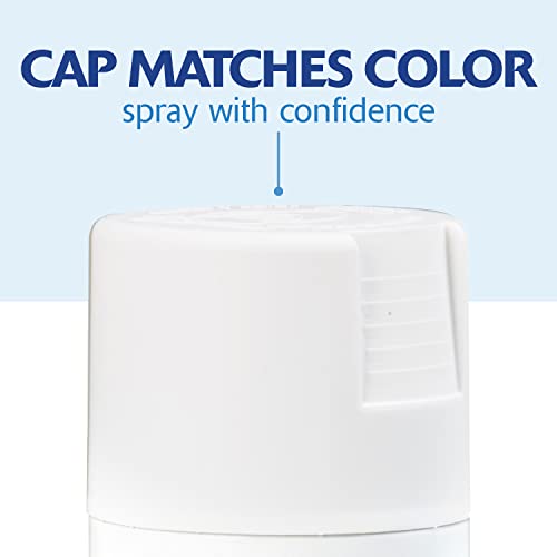 Rust-Oleum 249058 Painter's Touch 2X Ultra Cover, 12 Fl Oz , Flat White Primer, 12 Ounce (Pack of 2) - color: Flat White Primer, size: 12 fluid ounce (Pack of 2)