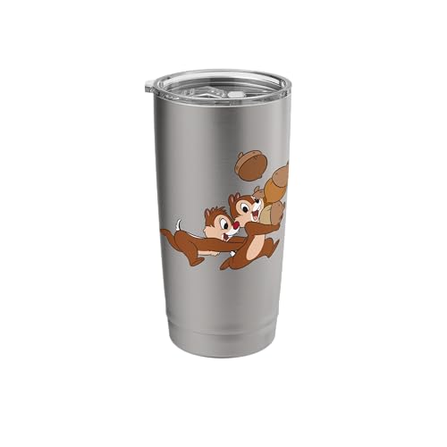 Disney Chip 'n Dale Chipmunks Acorn Run Stainless Steel Insulated Tumbler - color: Brushed Steel