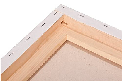Paramount Professional Gallery Wrapped Canvases for Painting, 10x10 in Heavy-Duty Stretched Canvas, Unbleached 100% Cotton, 1-13/16 Deep, Acid-Free, Triple-Primed, Medium-Tooth Surface - size: 10x10 in