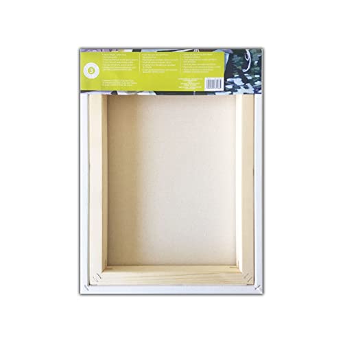 Artist's Loft Level 3 Gallery Wrapped Heavy Duty Canvas, 12 Pack - size: 12\ x 16\