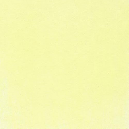 PanPastel Artist Pastels by GOLDEN, Bright Yellow Green Tint, 2.44” / 62mm Pan Diameter, Professional Artist Pastels, Unique Pan Format (cake-like) - color: Bright Yellow Green Tint, size: 9 ml (Pack of 1)