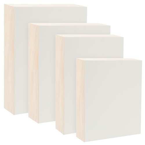 Da Vinci Pro Ultra Smooth Wood Canvas Gesso Board - 2" Deep, Bundle of 4 Medium Rectangle White Acrylic Polymer Gesso Panels for Painting Fine Portraits, Ultra Fine Detail Illustrations and Artwork - size: Medium Rectangular Assortment