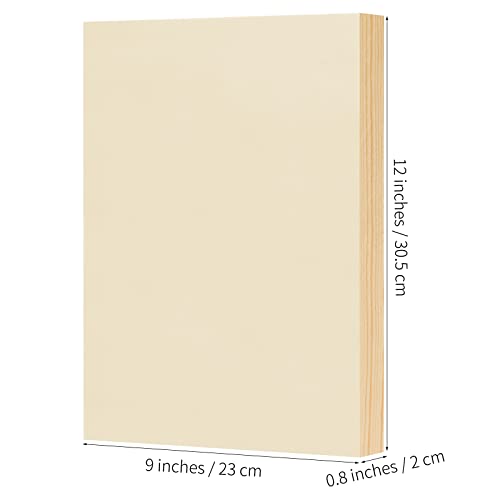 ADXCO 8 Pack Wood Panels 9 x 12 inch Wooden Canvas Board Unfinished Wooden Panel Boards for Painting, Arts, Pouring Use with Oils, Acrylics