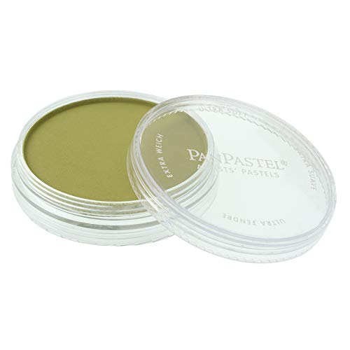 PanPastel Ultra Soft Artist Pastel, Bright Yellow Green Shade - color: Bright Yellow Green Shade, size: 1 Count (Pack of 1)