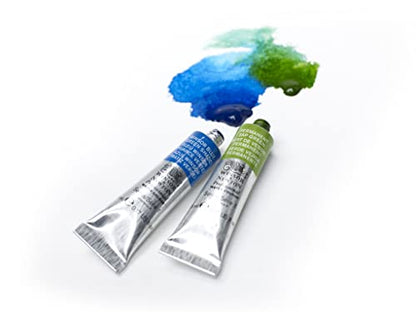 Windsor & Newton Artists Water 5ML Tube 12C Set (Japan Import) - color: 12 colors