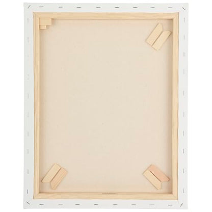 Paramount Canvas for Painting - Pack of 6, 12x16 White Canvases- 11/16" 100% Cotton Stretched Canvas, Triple-Primed for All Media, Medium Tooth, Back-Stapled, 12oz Primed Weight, Wood Stretcher Bars - size: 12x16" - Box of 6