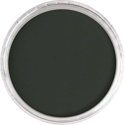PanPastel Artist Pastels by GOLDEN, Neutral Gray Extra Dark 1, 2.44” / 62mm Pan Diameter, Professional Artist Pastels, Unique Pan Format (cake-like) - color: Neutral Gray Extra Dark 1, size: 1 Count (Pack of 1)