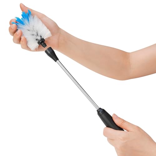 MOSOLAN Stainless Steel Bottle Brush with Replaceable Head, 2 Pack Long Handle Scrubbing Brush for Water Bottles, Glasswares, Mugs, Flasks, Tumblers, Vases, and Kitchen Sink, White, 13 in - 15 in - color: White, size: 13-15 Inch (Pack of 2)