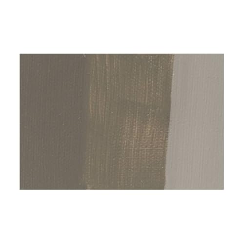 Charvin Professional Artist Quality Oil Paints, Natural Color Themed Hues, Volcano Grey 150 ml - color: Vulcain Grey