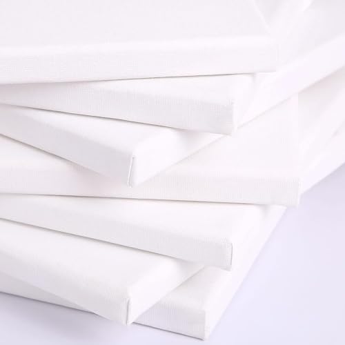 Canvases for Painting, 40x30, 30x20, 20x15, 8 Set Stretched White Canvas with Petal Paint Tray Palettes & Tape, Artist Canvases Frame Board Panels, Cotton Canvas for Oil, Acrylic, Watercolor