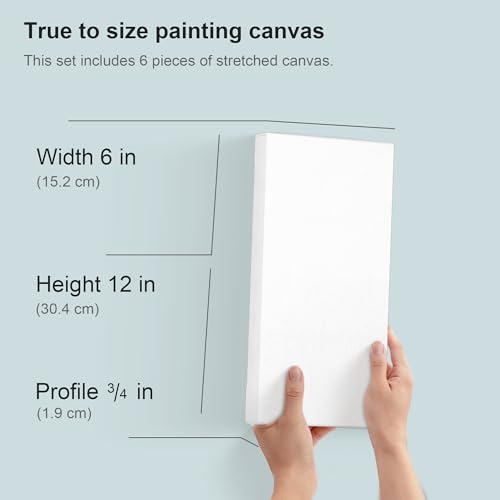 PHOENIX 6x12 Inch 6 Pack Artist Canvas - Small Rectangle Canvases for Painting - 3/4 Inch Profile, 100% Cotton 11 Oz. Gesso Primed White Blank Professional Canvas Oil & Acrylic Paints - size: 6"x12", style: Traditional