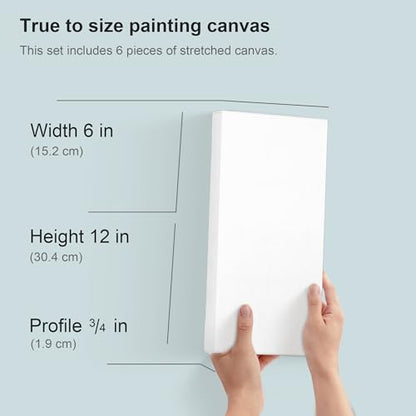 PHOENIX 6x12 Inch 6 Pack Artist Canvas - Small Rectangle Canvases for Painting - 3/4 Inch Profile, 100% Cotton 11 Oz. Gesso Primed White Blank Professional Canvas Oil & Acrylic Paints - size: 6"x12", style: Traditional