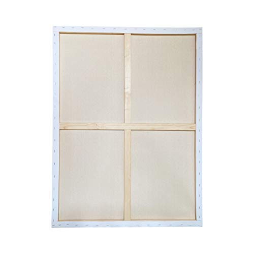 milo Pro Stretched Artist Canvas | 30x40 inch | Pack of 4 | 3/4” inch Thick Studio Profile | Ready to Paint 11 oz Primed Heavy Duty Large Canvas Art Supplies for Painting - size: 30" x 40" Pack of 4