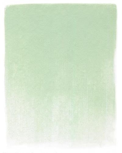 PanPastel Artist Pastels by GOLDEN, Chromium Oxide Green Tint, 2.44” / 62mm Pan Diameter, Professional Artist Pastels, Unique Pan Format (cake-like) - color: Chromium Oxide Green Tint, size: 1 Count (Pack of 1)