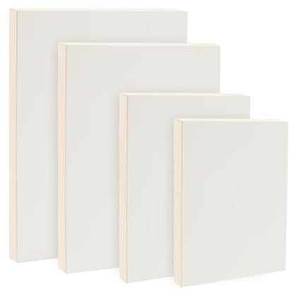 Da Vinci Pro Resist-Grip Coarse Textured Gesso Board, 4 Medium Variety Rectangles, 2" Depth Art Boards for Painting, White Acrylic Polymer w/Quartz Sand, Warp-Resistant Cradled & Sealed MDF Panel