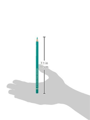 Faber-Castell Polychromos Artists' Single Pencil - Colour 161 Phthalo Green - color: Phthalo Green