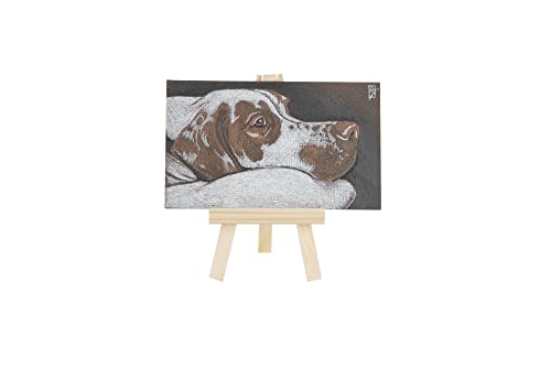 Creative Mark ArtBites Canvas Textured Boards 5-Pack - 2.3mm Stock Board Mounted Mini Canvases for Painting, Sketching, Printing & More! - 5x7 - size: 5x7"