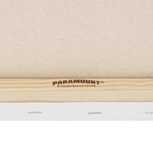 Paramount Canvas for Painting - Pack of 6, 12x24 White Canvases- 11/16" 100% Cotton Stretched Canvas, Triple-Primed for All Media, Medium Tooth, Back-Stapled, 12oz Primed Weight, Wood Stretcher Bars - size: 12x24" - Box of 6